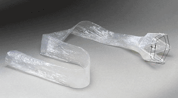 Image: The EndoBarrier Gastrointestinal Liner System (Photo courtesy of GI Dynamics).